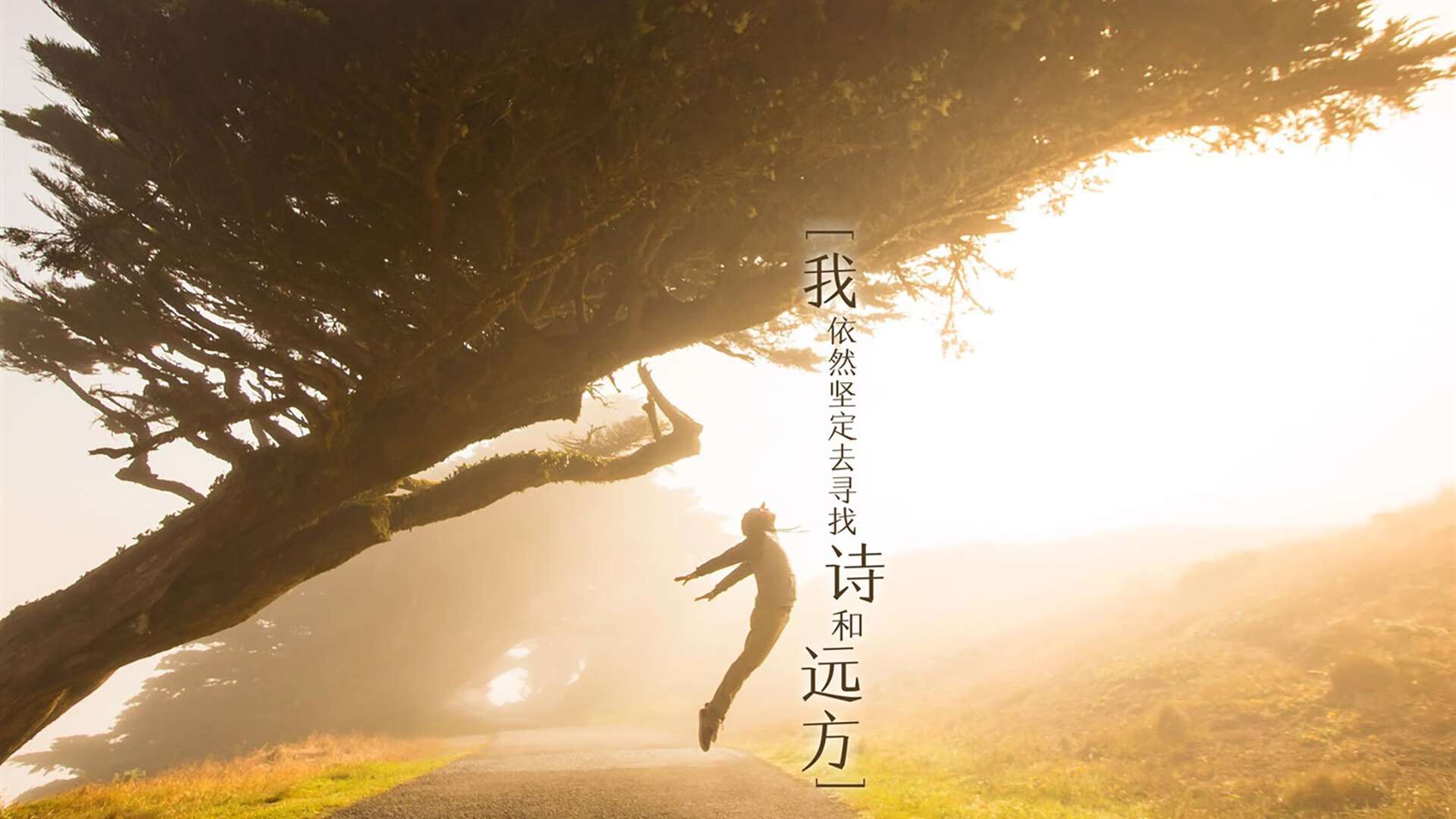 _骑士年轻新星崭露头角,犹如黑马突围_,骑士新作