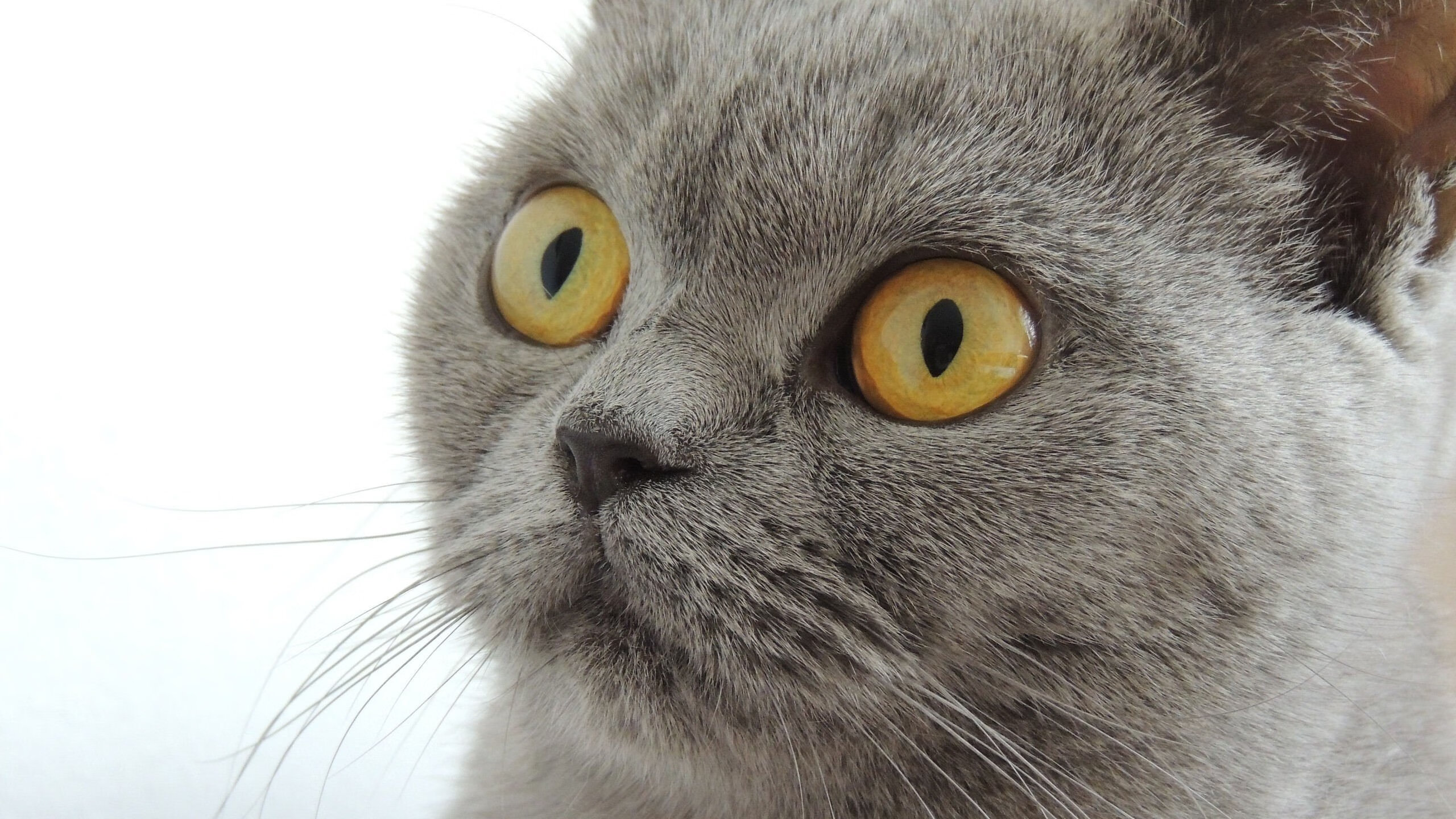 “名人传承”青少年篮球名宿讲坛在北京盛大开幕,青少年篮球队名单