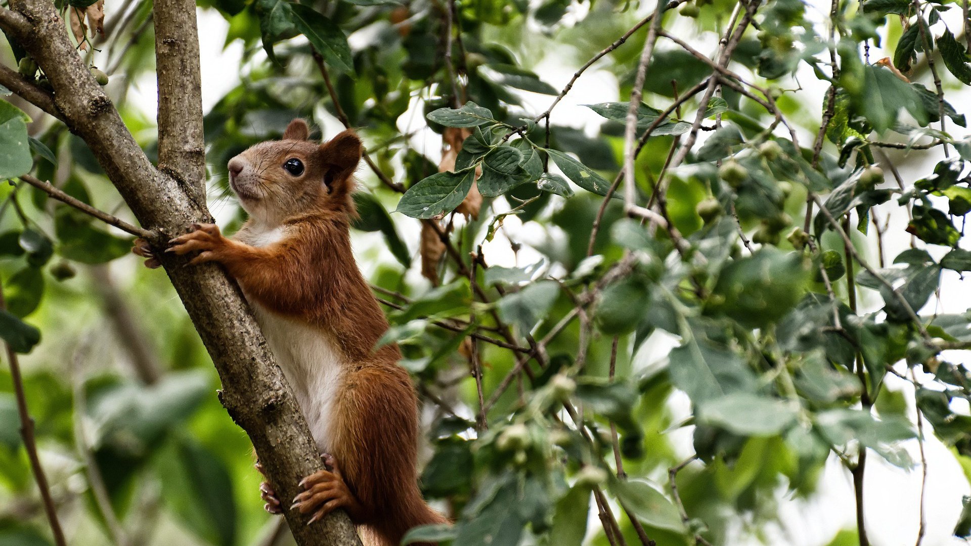 开云品牌-冠军背后：领袖球员的拼搏岁月，冠军的背后是强大的体魄