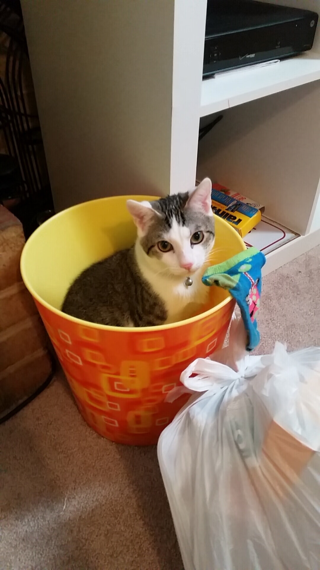 失误频繁:上海队20次失误成为最大败因!,上海队战绩