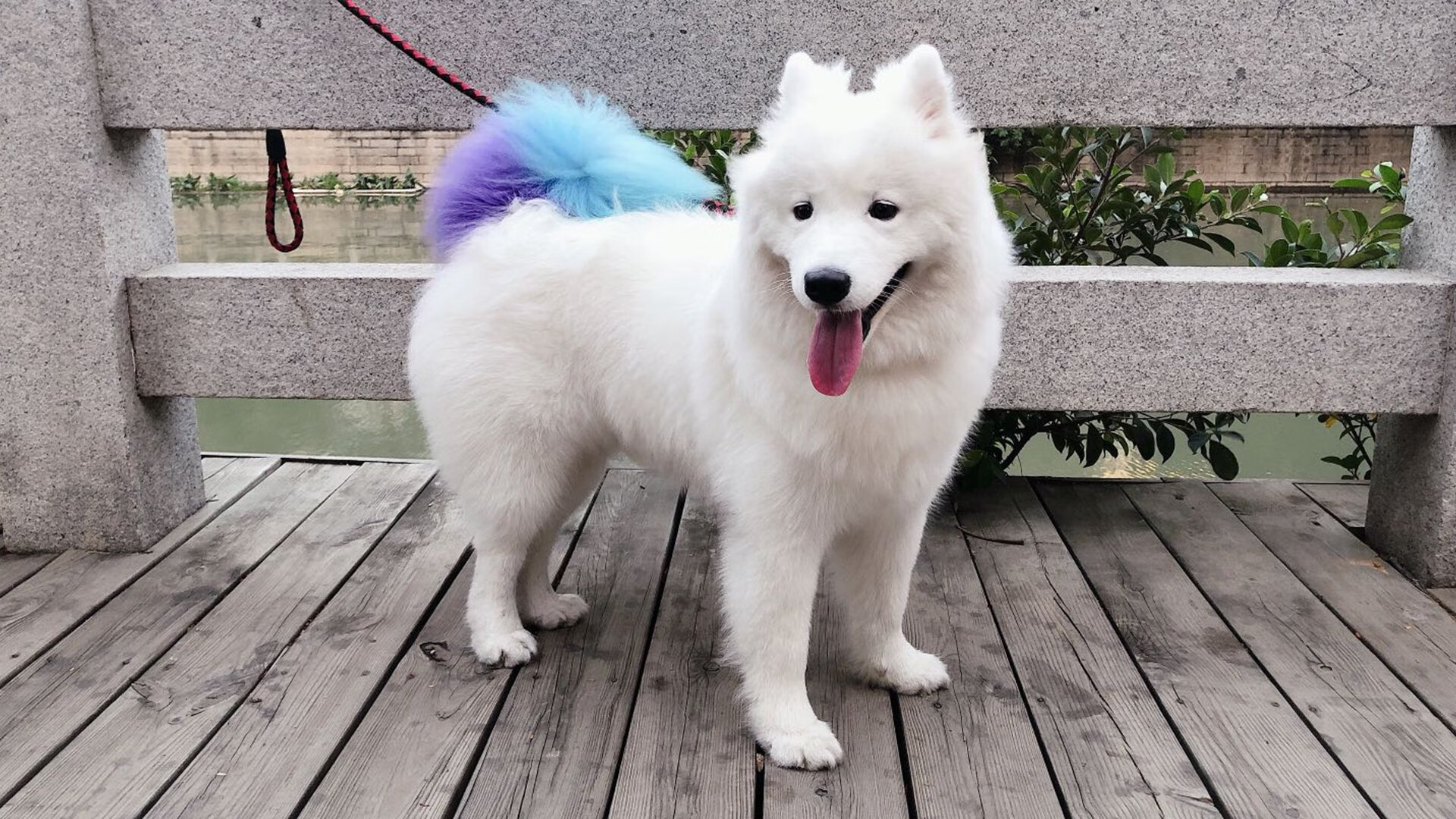 快讯：中国篮球超级联赛最新排名情况，中国篮球职业联赛最新排名