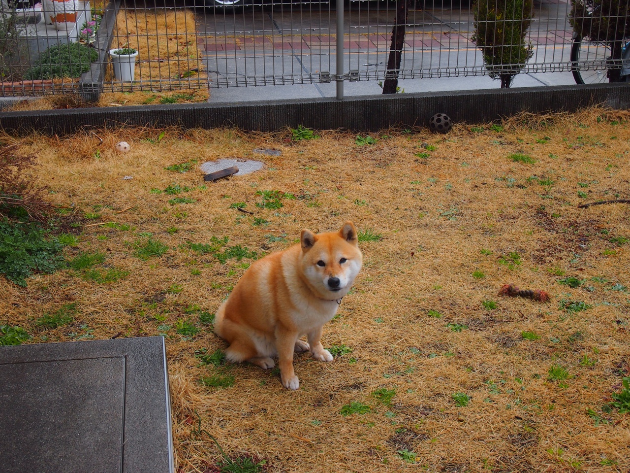 开云体育-跨界飞碟投掷，融合传统与现代的运动体验，飞碟 运动