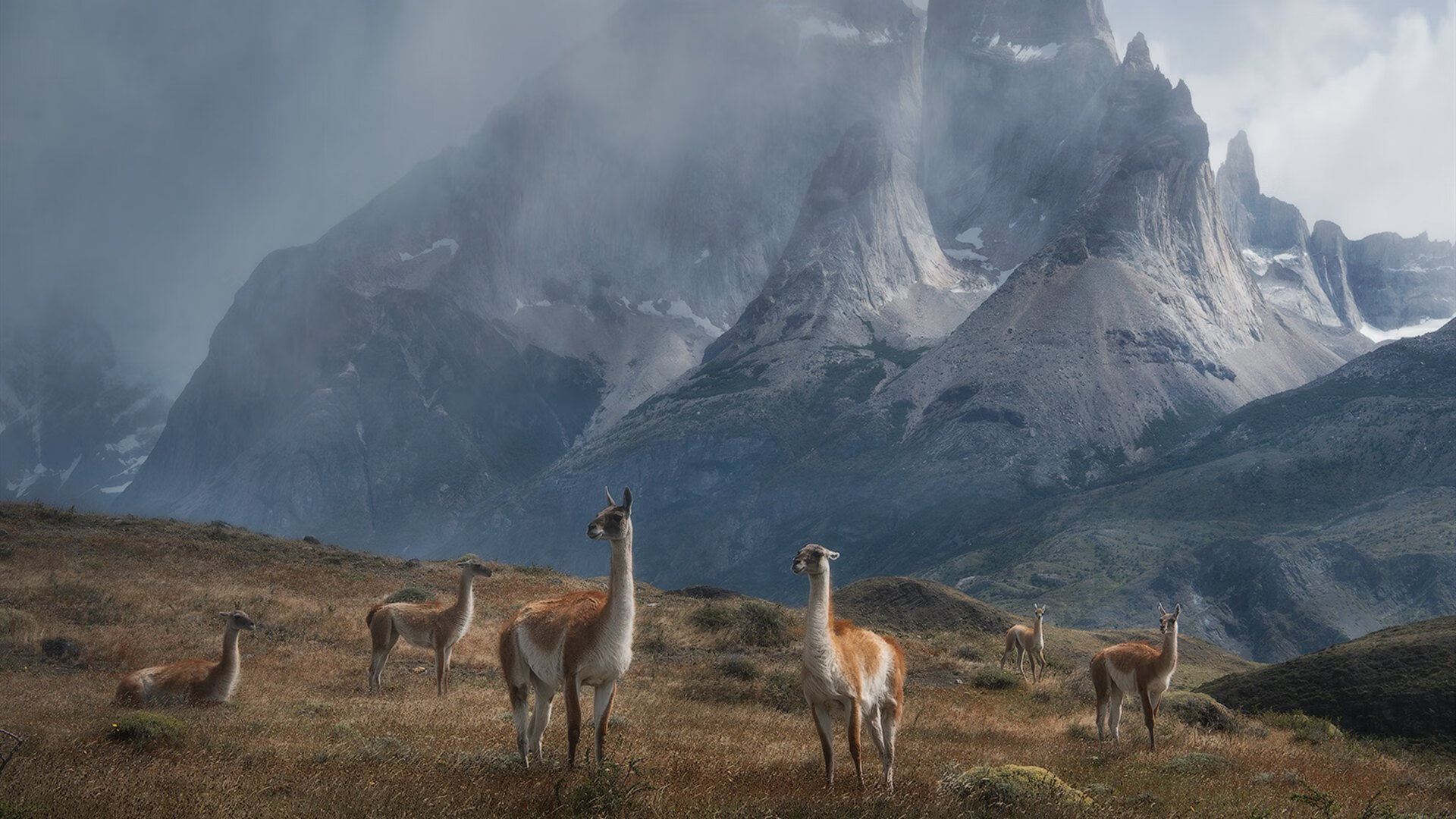 青少年“梦想启航”体育公益大使在全国多地火热开展,弘扬正能量