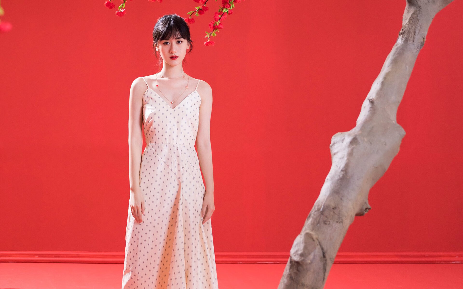 伊普斯维奇城球迷期待球队在英超立足，伊普斯维奇市