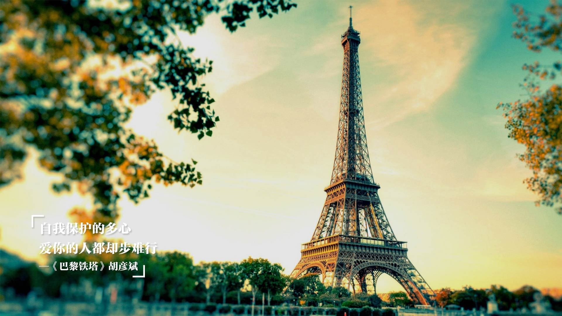 帕尔梅拉斯冲击巴甲冠军，帕尔梅拉斯对巴西国际