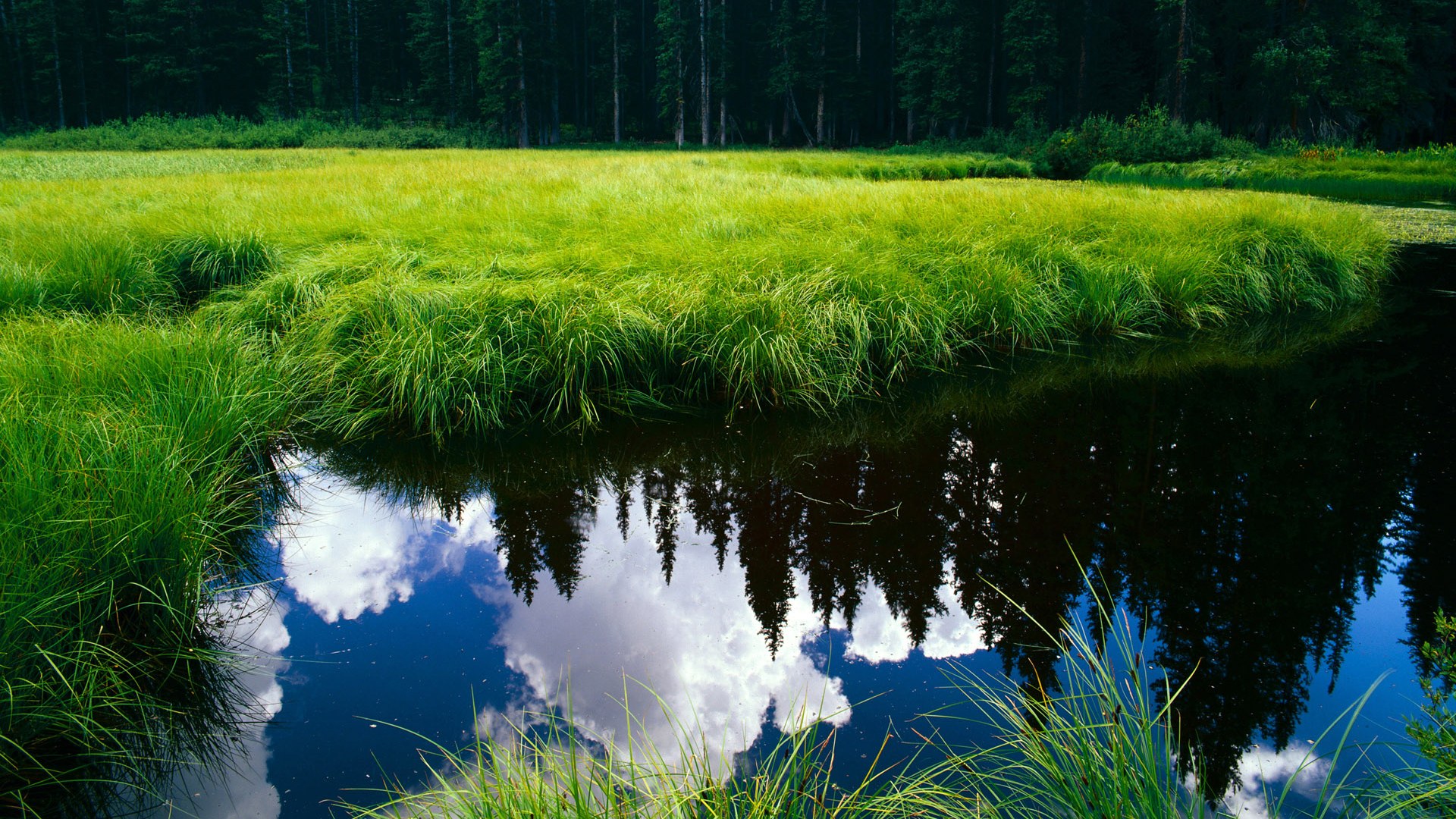 日本队多次打破对方防线,日本队打法