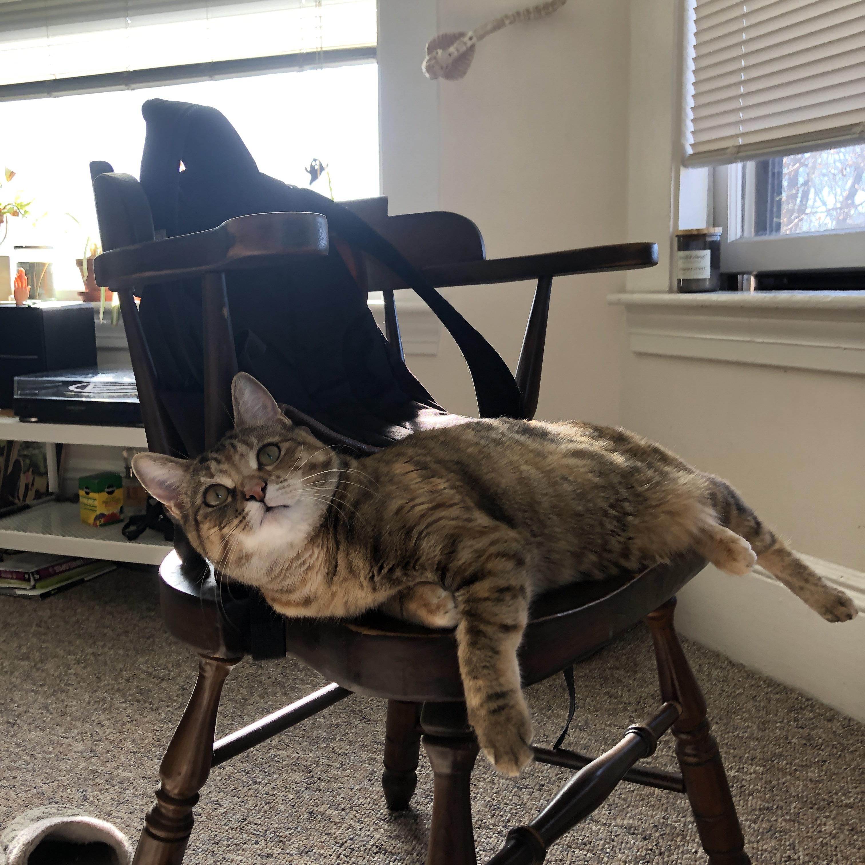 瓦拉多利德遭遇双杀,主帅下课球队重塑信心,瓦拉多利德对莱万特