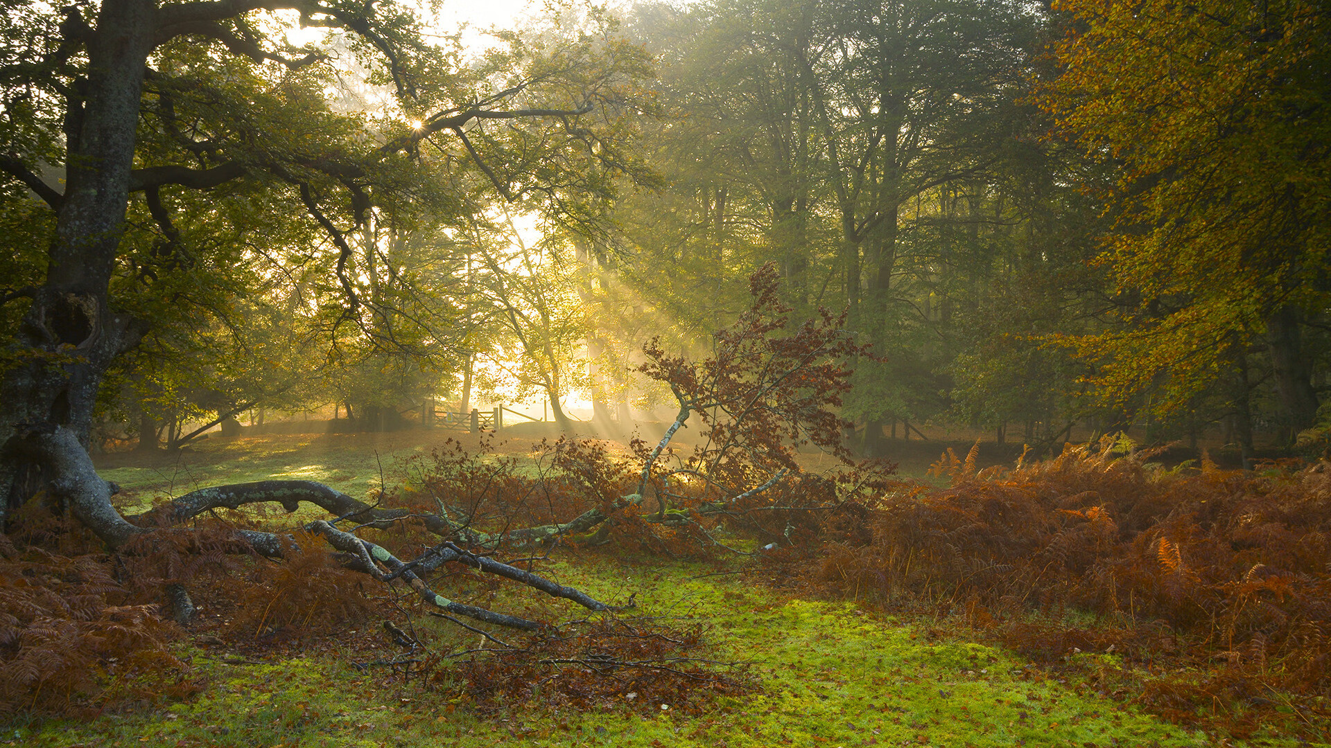 电竞电竞赛事市场营销创新模式及粉丝经济开发实践,电竞活动营销策划方案