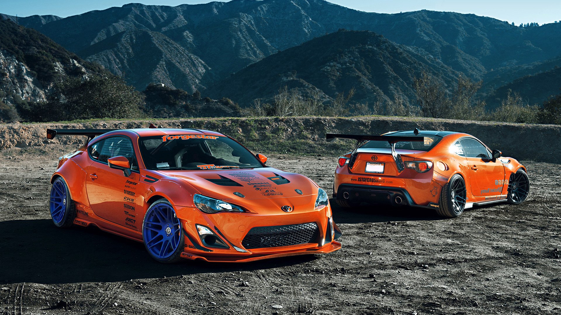 现场直击:赛场中的感人瞬间与球迷热情,足球赛场上的感人瞬间