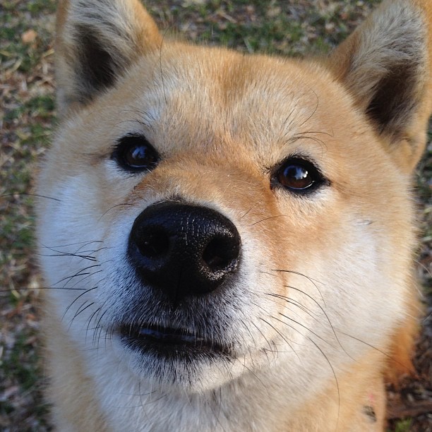 篮球专项训练中的运动员个性化训练计划设计,篮球运动员的专项素质