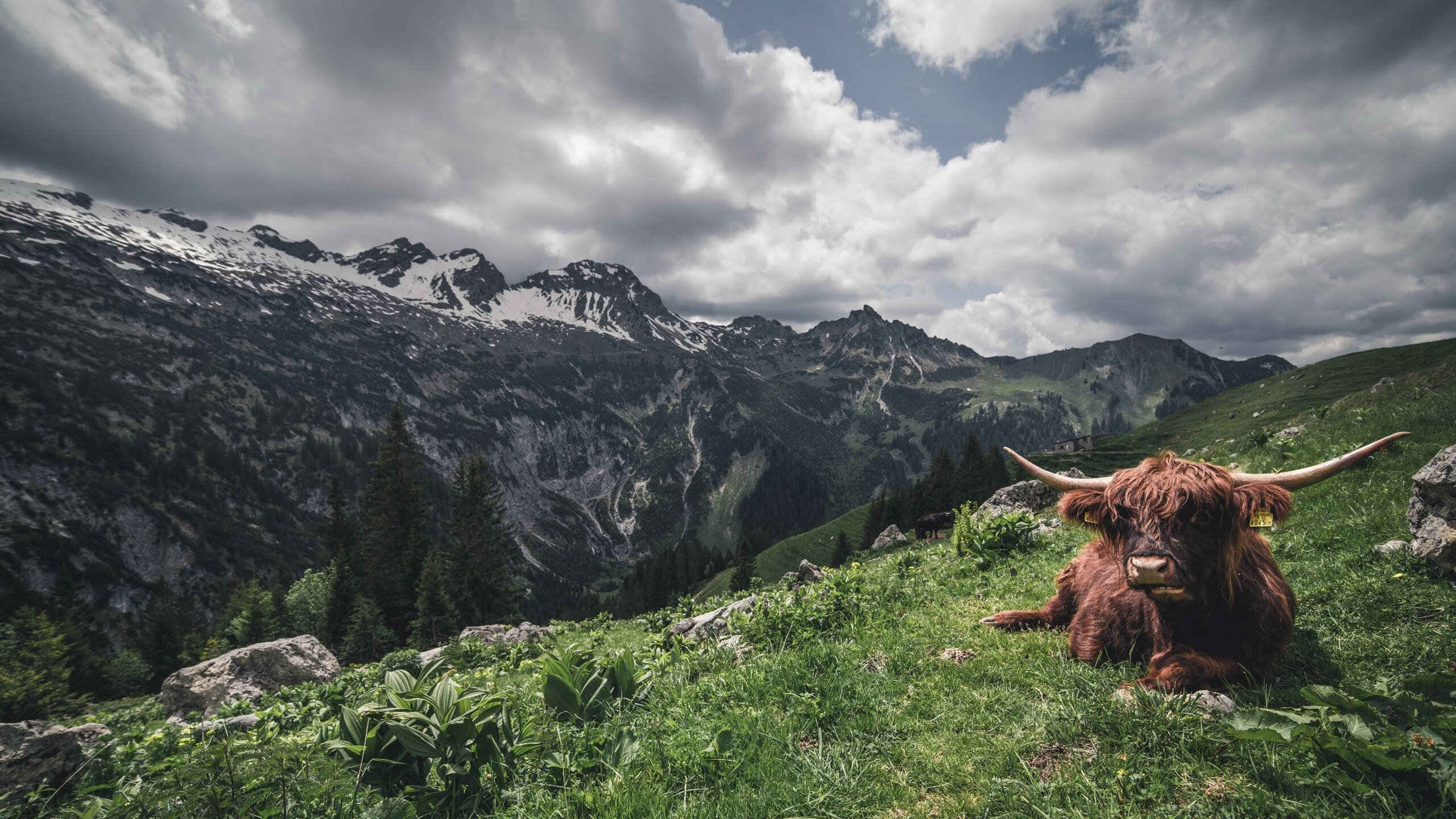 开云网页版-CBA联赛推动篮球运动普及，cba联赛推动篮球运动普及了吗