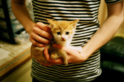 开云体育下载-中国香港队赛制探讨：如何通过精准战术实现全队目标，香港队入场