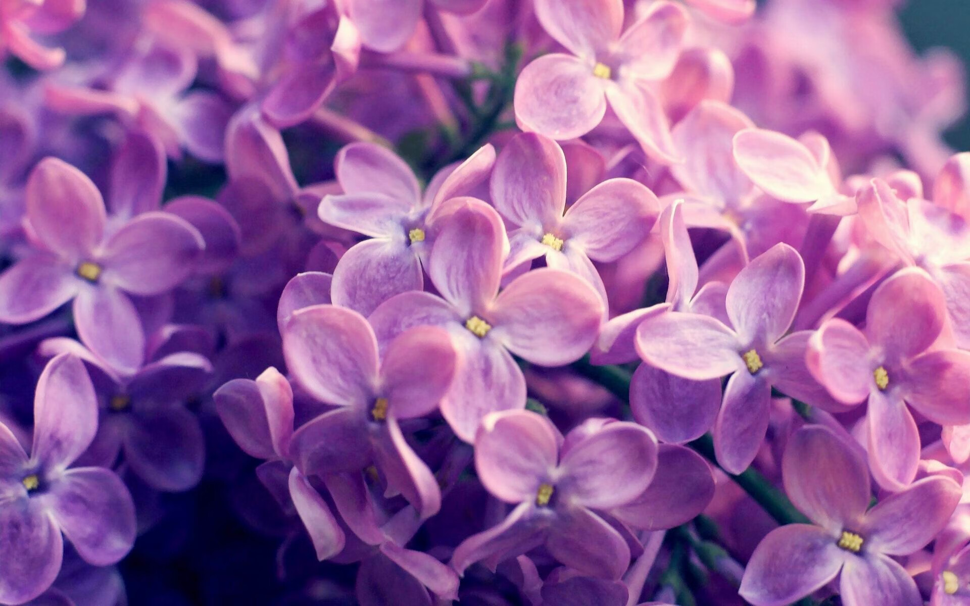 开云体育下载-中超联赛中国青年队战胜 技术提升显著，中国青超联赛介绍