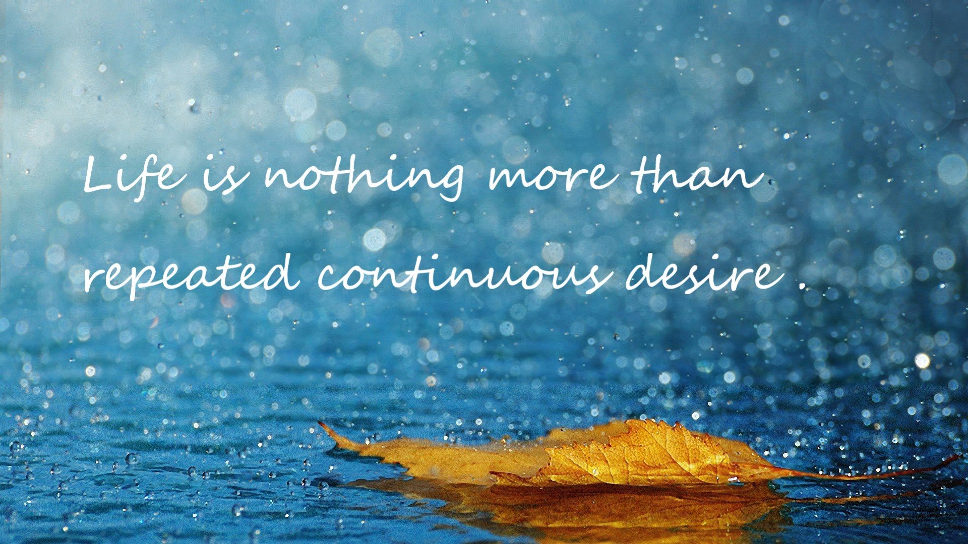 开云app下载-爱尔兰橄榄球产业政策推动赛事国际化，爱尔兰篮球联赛