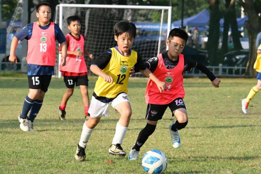 各支球队的训练营与季前准备