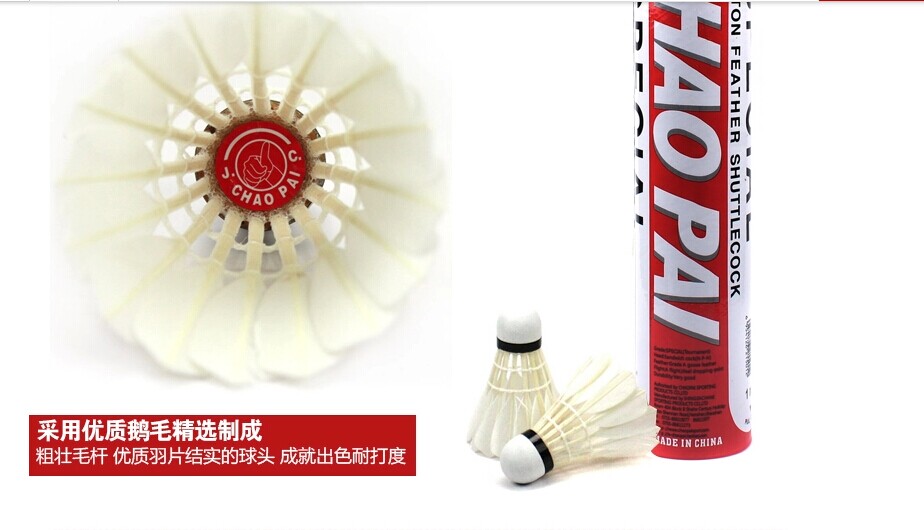 包含最新羽毛球科技产品对比赛的影响评估的词条 包含最新羽毛球科技产品对比赛的影响评估的词条